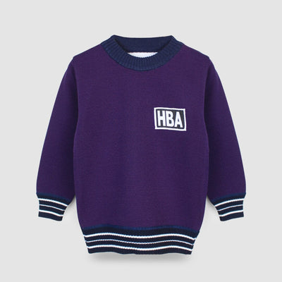 Cozy Purple Themed Sweater For Boys Sweater Iluvlittlepeople 2-3 Years Purple Winter