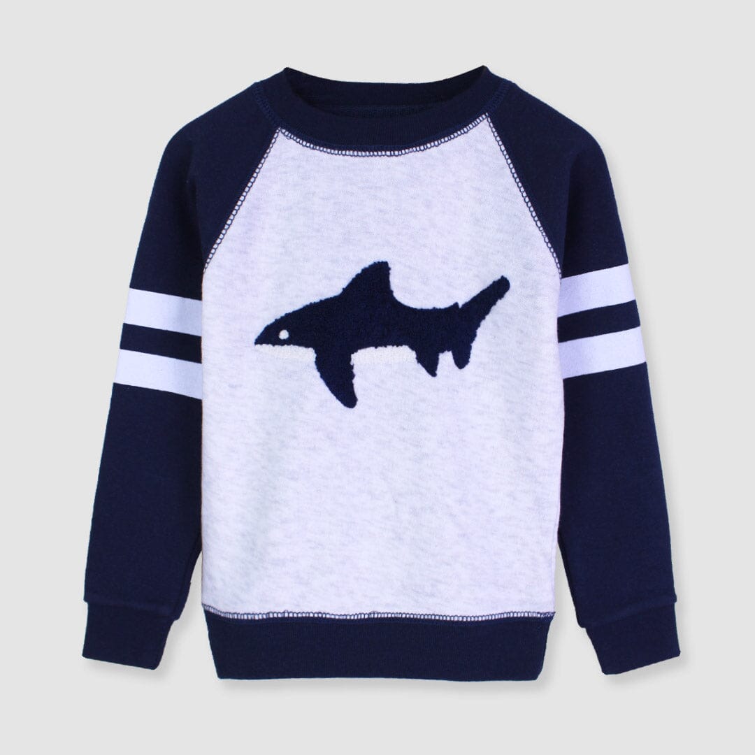 Attractive Gray Themed Sweat Shirt For Boys Sweatshirt Iluvlittlepeople 2-3 Years Gray Winter