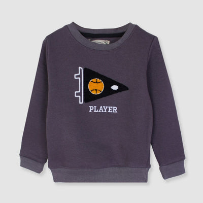 Attractive Grey Themed Sweat Shirt For Boys Sweatshirt Iluvlittlepeople 2-3 Years Grey Winter