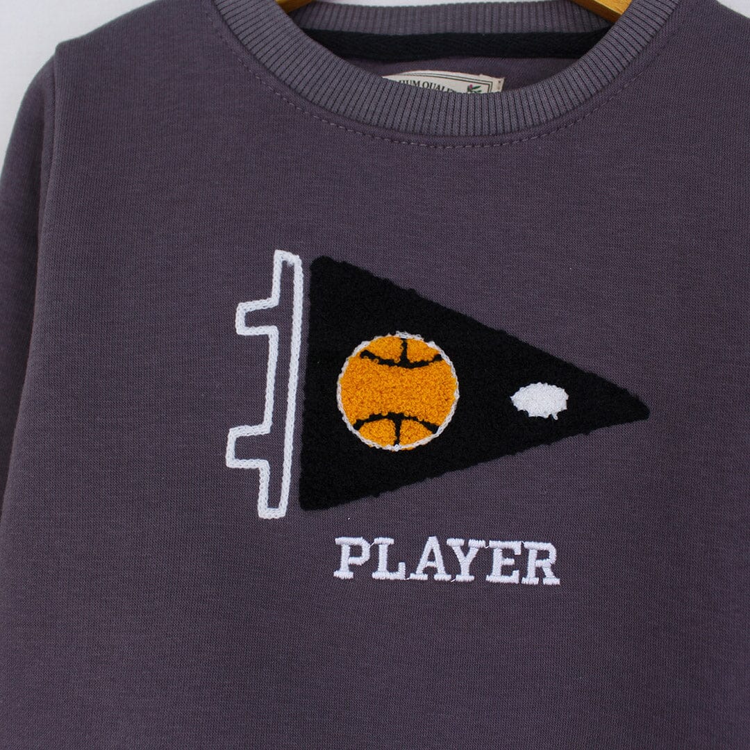 Attractive Grey Themed Sweat Shirt For Boys Sweatshirt Iluvlittlepeople 