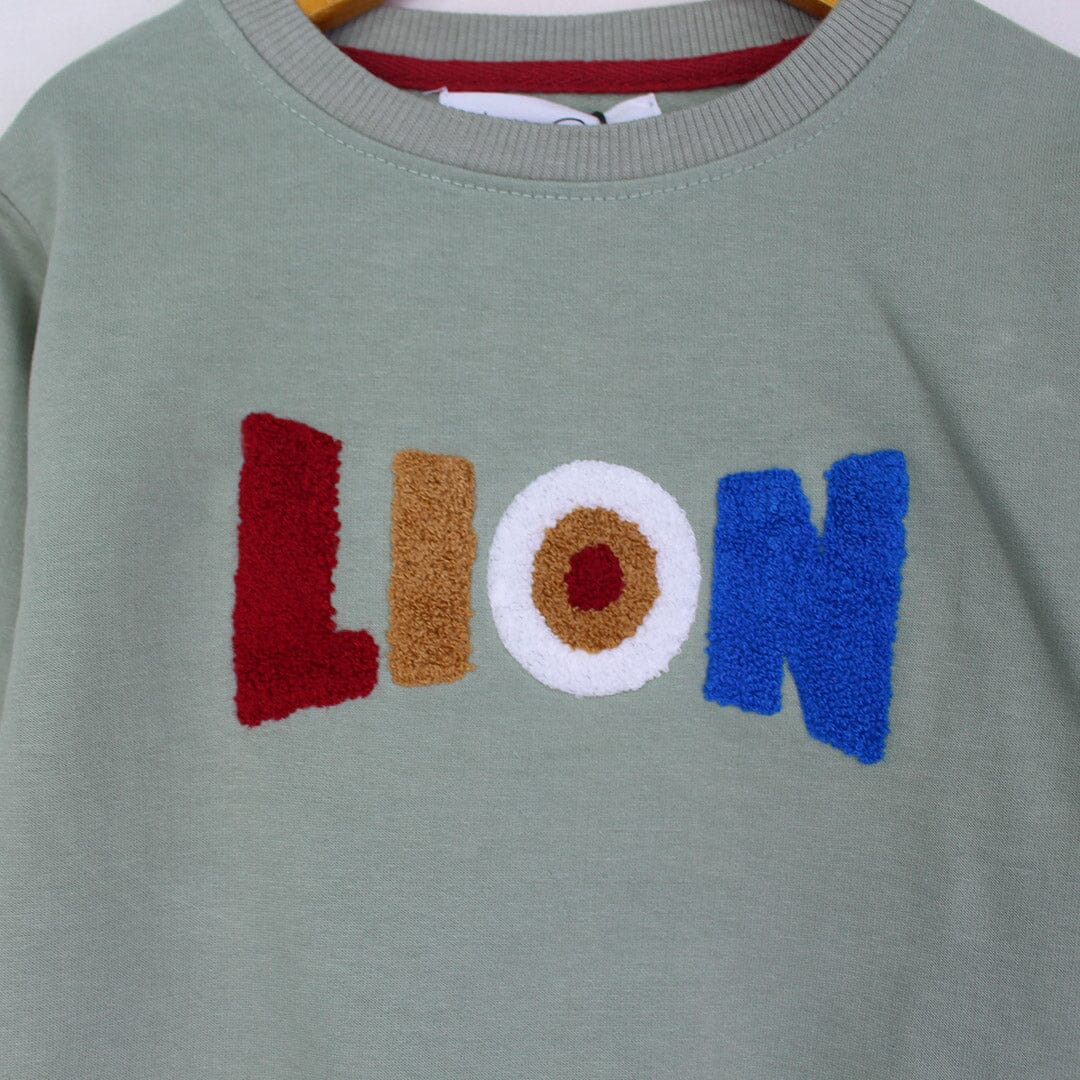 Attractive Green Themed Sweat Shirt For Boys Sweatshirt Iluvlittlepeople 