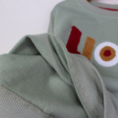 Attractive Green Themed Sweat Shirt For Boys Sweatshirt Iluvlittlepeople 