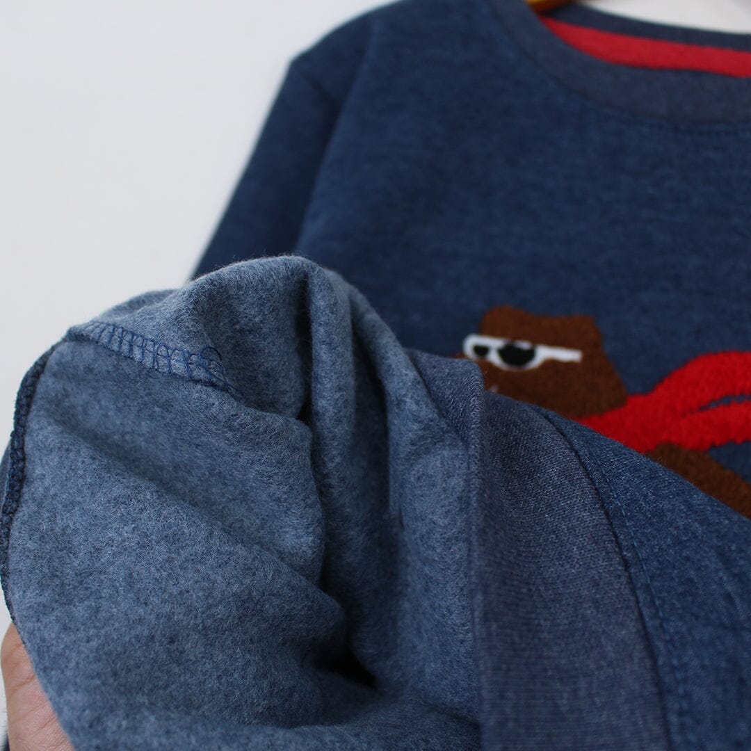 Cozy Attractive Blue Themed Sweat Shirt For Boys Sweatshirt Iluvlittlepeople 