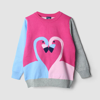 Cozy Comfort Pink Themed Girls Sweater Sweater Iluvlittlepeople 3-4 Years Pink Winter