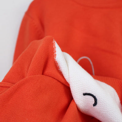 Cozy Comfort Orange Themed Sweater For Boys Sweater Iluvlittlepeople 