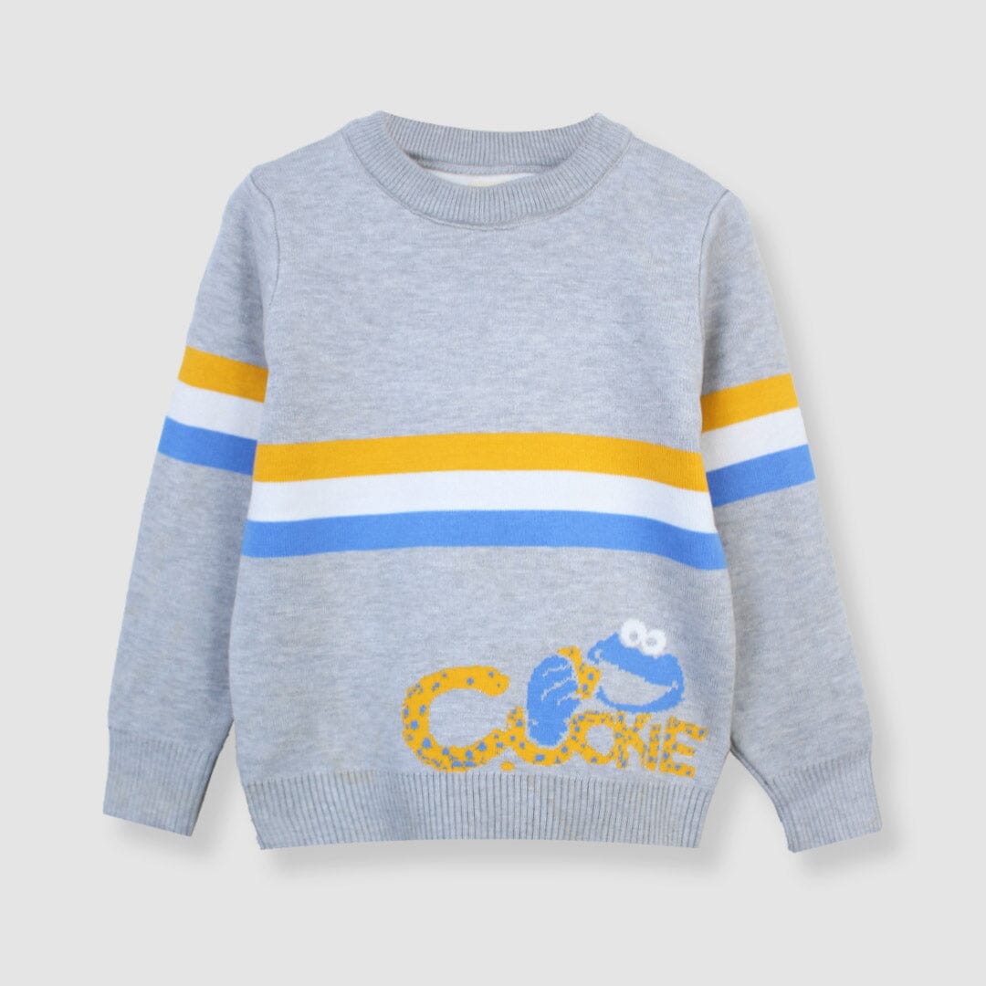 Cozy Comfort Grey Themed Sweater For Boys Sweater Iluvlittlepeople 3-4 Years Grey Winter