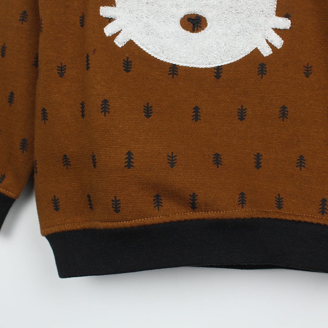 Cute Brown Themed Boys Sweatshirt Sweatshirt Iluvlittlepeople 