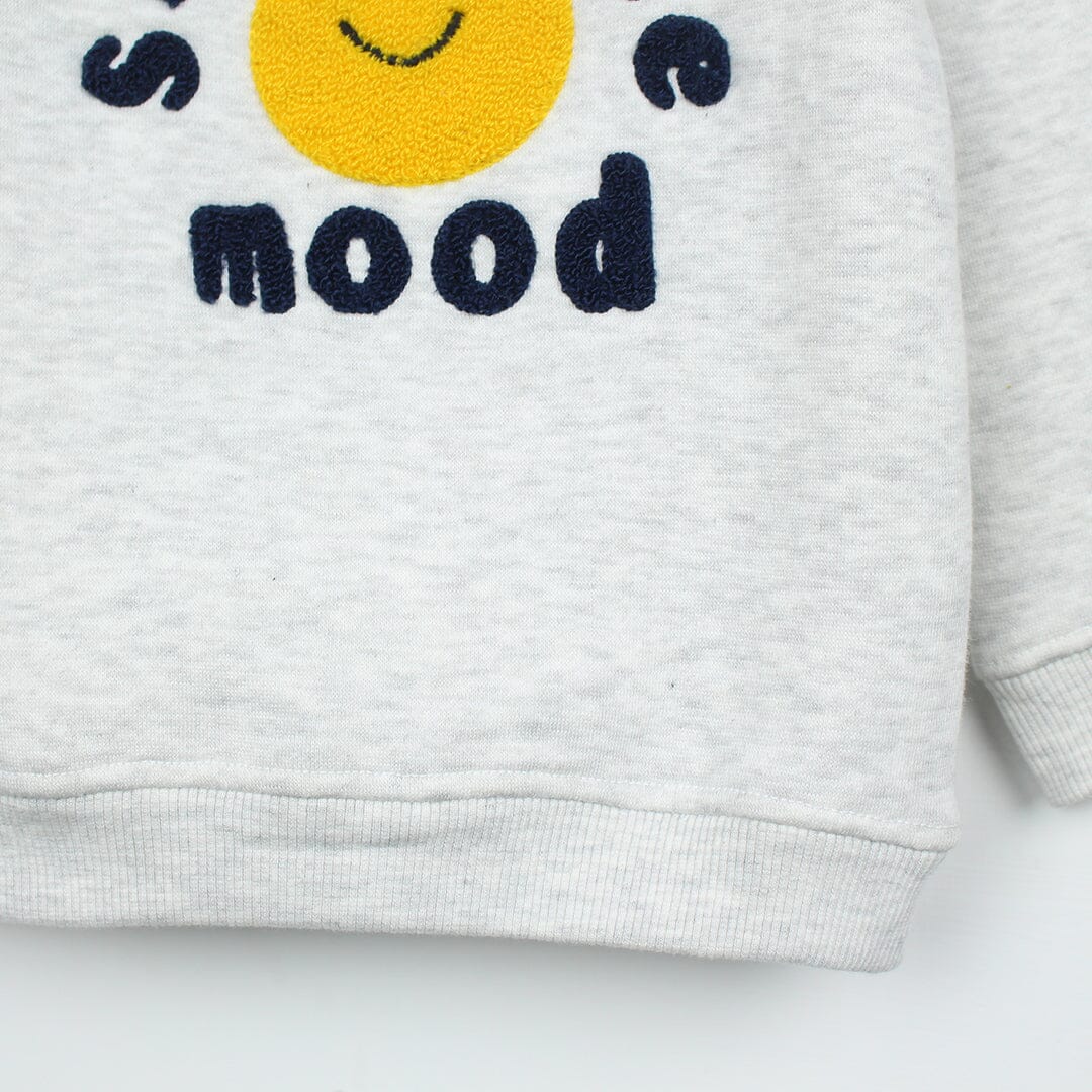 Attractive Grey Themed Boys Sweatshirt Sweatshirt Iluvlittlepeople 