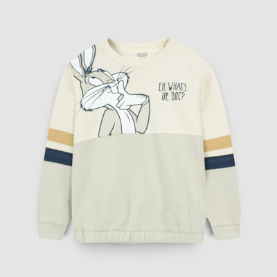 Attractive Beige Themed Boys Sweatshirt