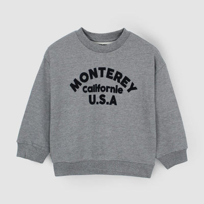 Attractive Grey Themed Boys Sweatshirt Sweatshirt Iluvlittlepeople 4-5 Years Grey Winter