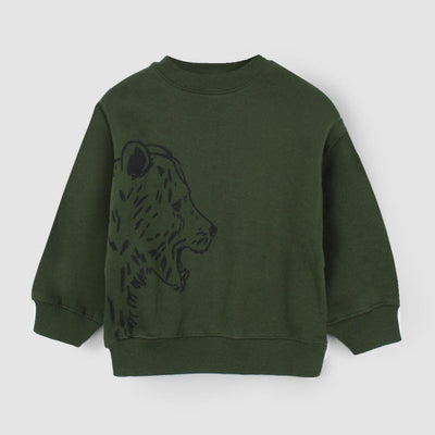 Attractive Green Themed Boys Sweatshirt Sweatshirt Iluvlittlepeople 2-3 Years Green Winter