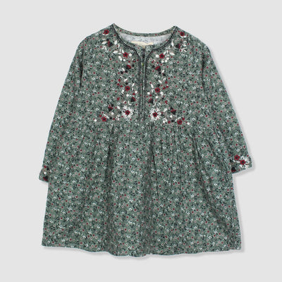 Trendy Green Themed Cute Princess Frock Frock Iluvlittlepeople 3-4 Years Green Winter