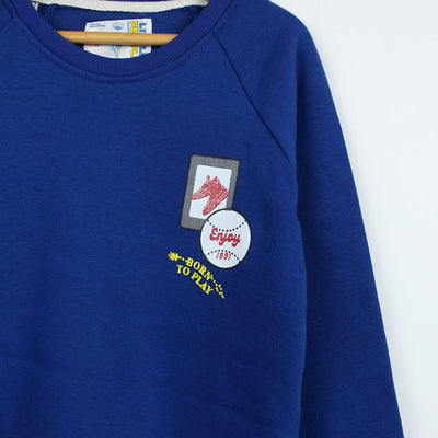 Delighted Blue Themed Boys Sweat Shirt Sweatshirt Iluvlittlepeople 