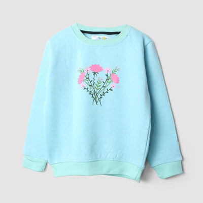 Attractive Aqua Themed Girls Sweatshirt Sweatshirt Iluvlittlepeople 2-3 Years Aqua Winter