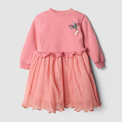 Cozy Pink Themed Cute Princess Frock Frock Iluvlittlepeople 2-3 Years Pink Winter