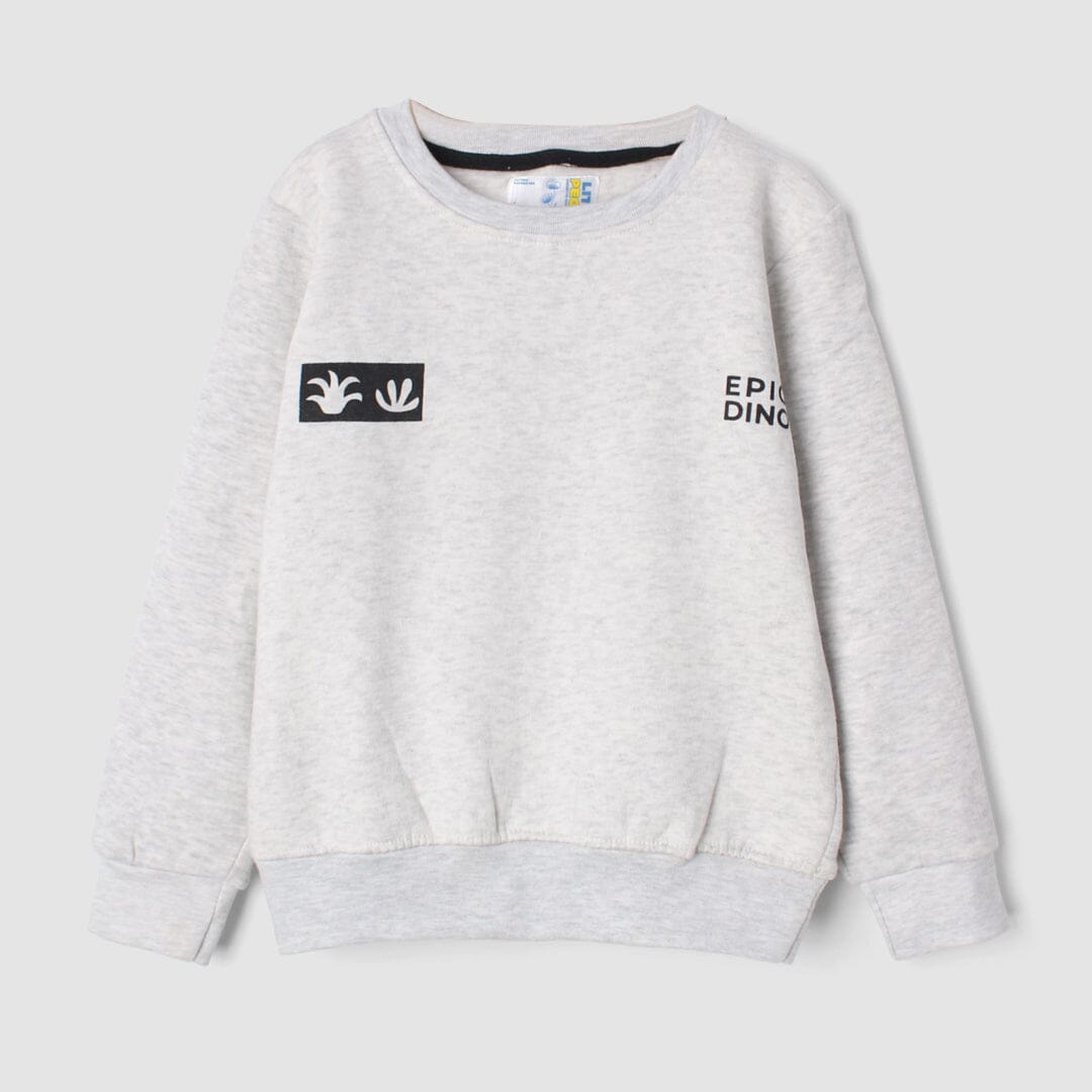 Decent Grey Themed Boys Sweatshirt Sweatshirt Iluvlittlepeople 2-3 Years Grey Winter
