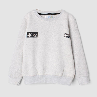 Decent Grey Themed Boys Sweatshirt Sweatshirt Iluvlittlepeople 2-3 Years Grey Winter