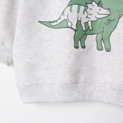 Desire Grey Themed Kids Sweatshirt Sweatshirt Iluvlittlepeople 