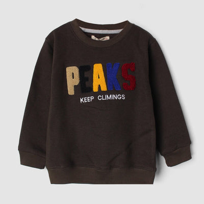 Admire Green Themed Kids Sweatshirt Sweatshirt Iluvlittlepeople 6-9 Months Green Winter