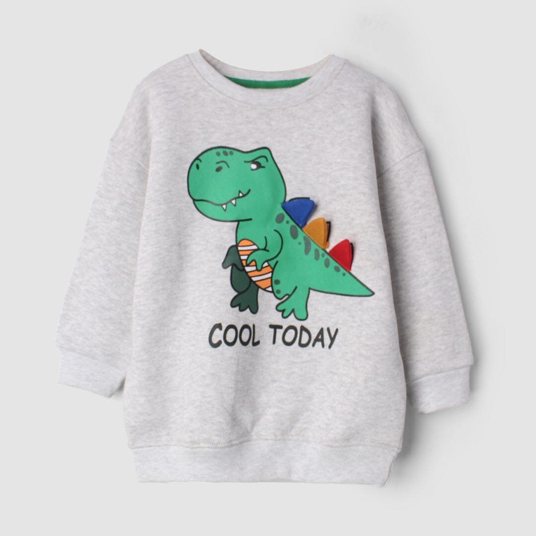 Desire Grey Themed Kids Sweatshirt Sweatshirt Iluvlittlepeople 6-9 Months Grey Winter