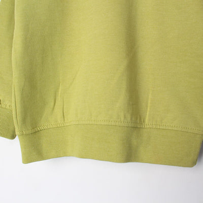 Stylish Green Themed Boys Sweatshirt Sweatshirt Iluvlittlepeople 