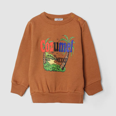 Desire Brown Themed Kids Sweatshirt Sweatshirt Iluvlittlepeople 6-9 Months Brown Winter