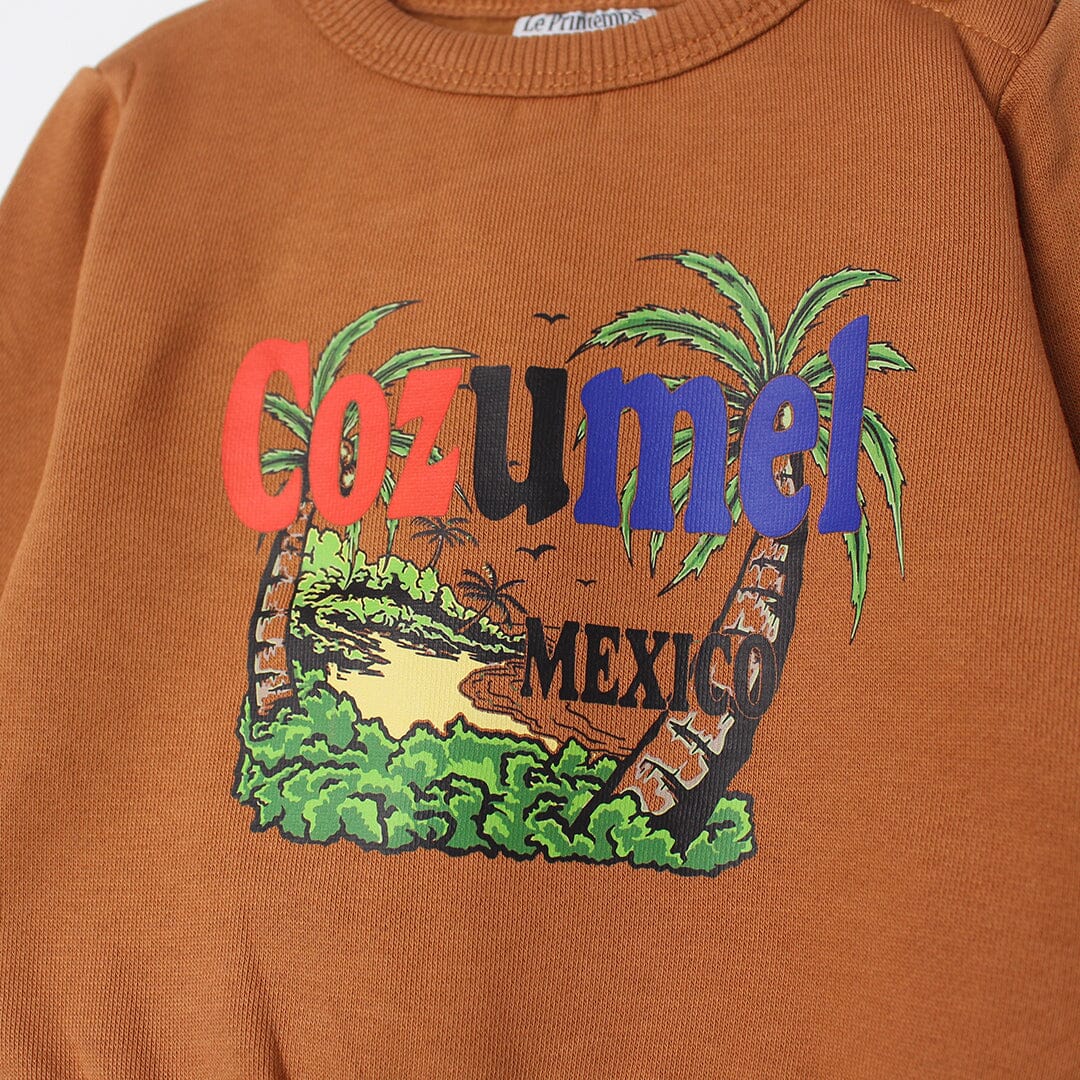 Desire Brown Themed Kids Sweatshirt Sweatshirt Iluvlittlepeople 