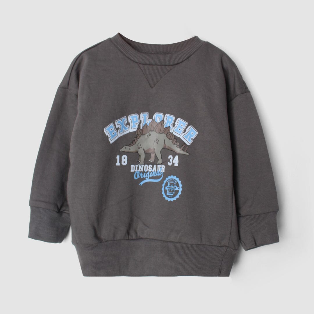 Stylish Grey Themed Boys Sweatshirt Sweatshirt Iluvlittlepeople 2-3 Years Grey Winter