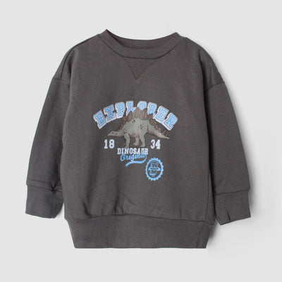 Stylish Grey Themed Boys Sweatshirt Sweatshirt Iluvlittlepeople 2-3 Years Grey Winter