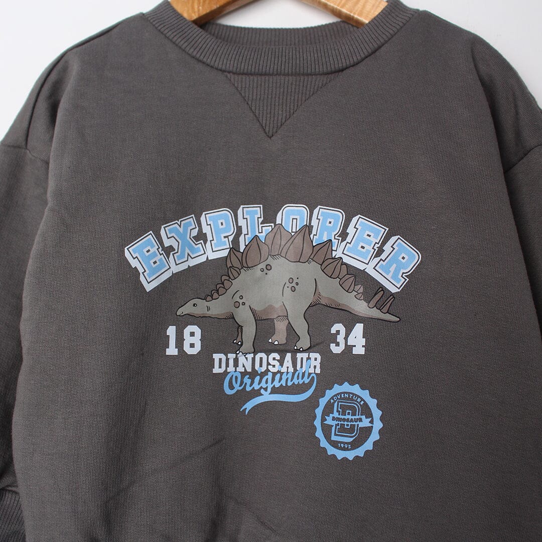 Stylish Grey Themed Boys Sweatshirt Sweatshirt Iluvlittlepeople 