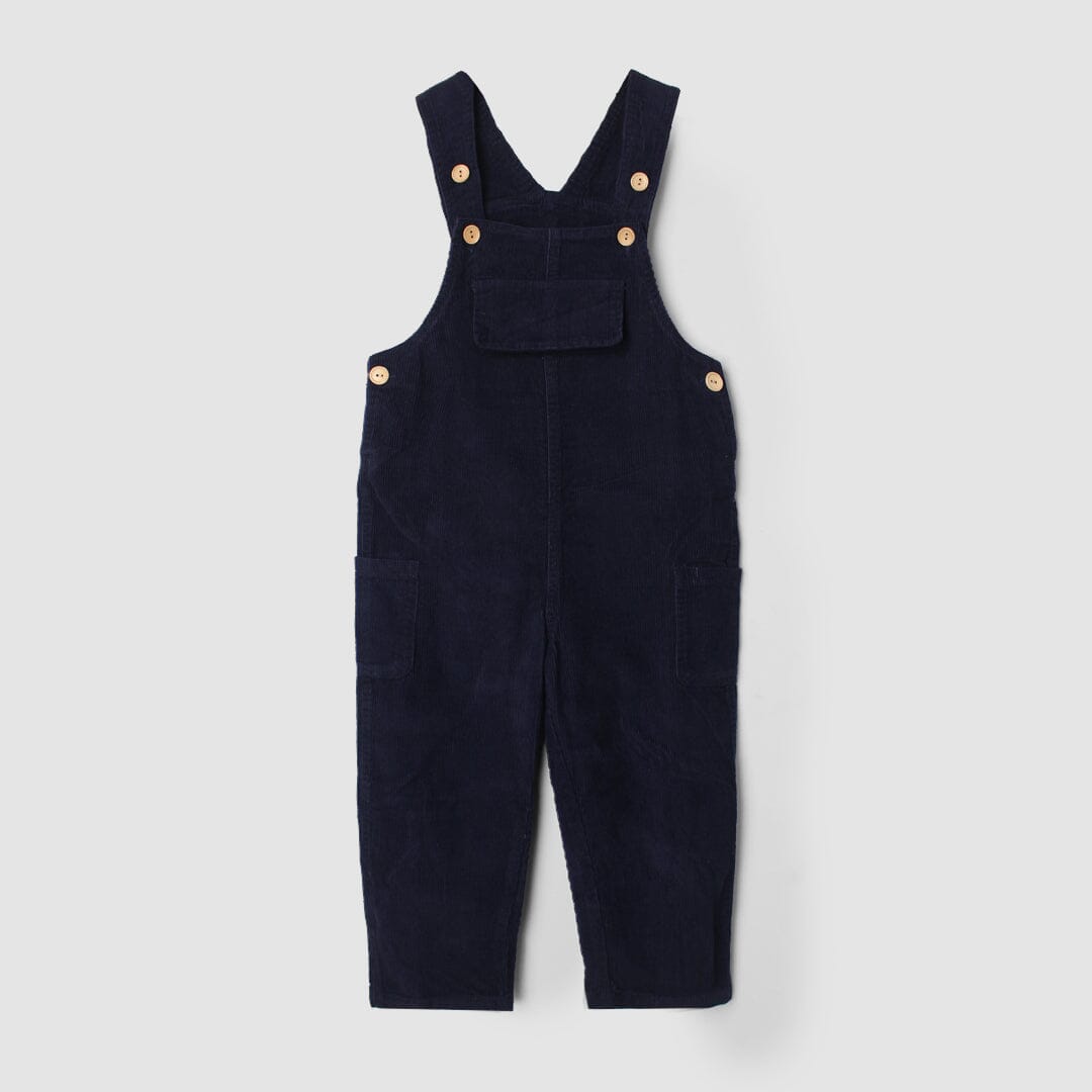 Inspire Blue Themed Baby Kids Dangri Dangri Iluvlittlepeople 2-3 Years Blue Winter