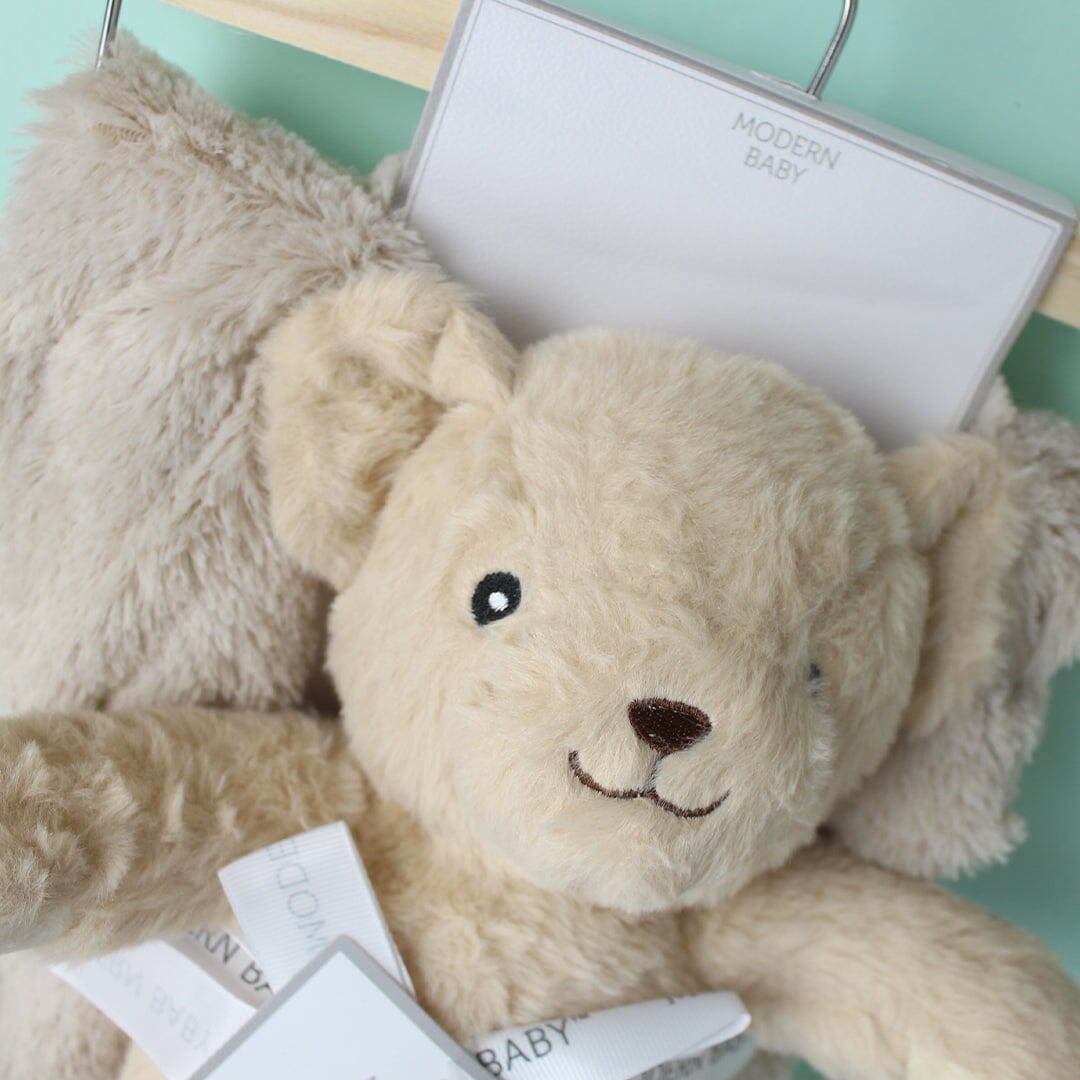 Cozy Baby Blanket & Character Pillow - Little People Gears Blankets Iluvlittlepeople 