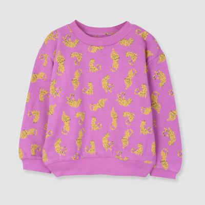 Cute Little Girl Pink Themed Sweat Shirt Sweatshirt Iluvlittlepeople 2-3 Years Pink Winter