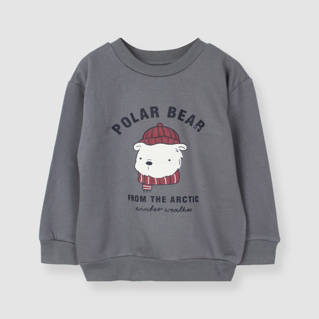 Attractive Grey Themed Sweat Shirt For Boys Sweatshirt Iluvlittlepeople 2-3 Years Grey Winter