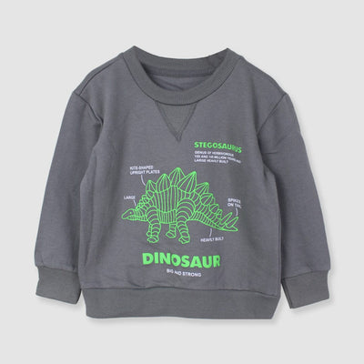 Attractive Grey Themed Sweat Shirt For Boys Sweatshirt Iluvlittlepeople 2-3 Years Grey Winter