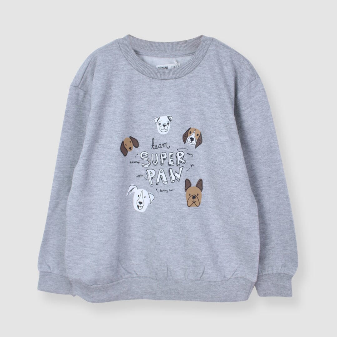 Attractive Grey Themed Sweat Shirt For Boys Sweatshirt Iluvlittlepeople 2-3 Years Grey Winter