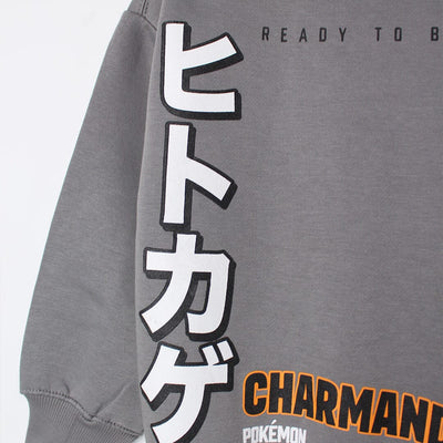 Inspire Grey Themed Boys Sweatshirt Sweatshirt Iluvlittlepeople 