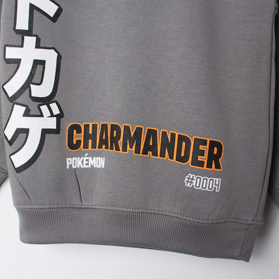 Inspire Grey Themed Boys Sweatshirt Sweatshirt Iluvlittlepeople 